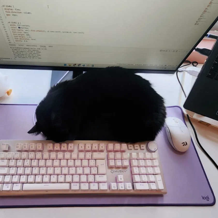 My black cat asleep on the keyboard at my desk, CSS open on the monitor behind him