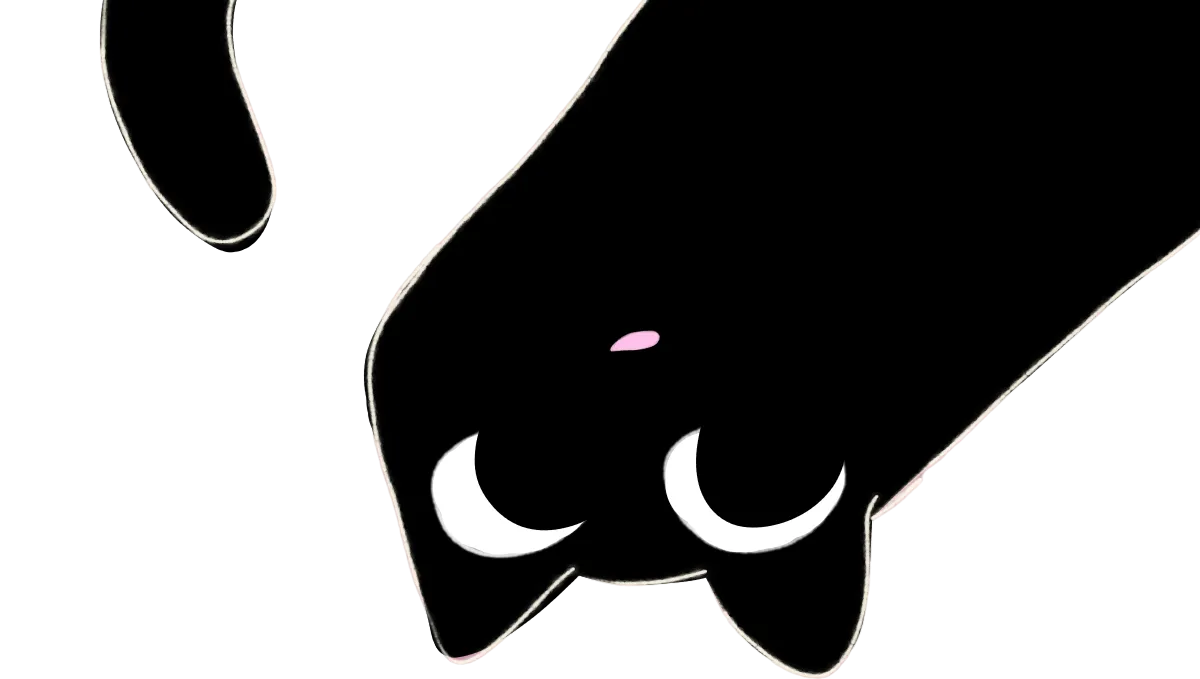 A black cat hanging upside down from the top of the screen, looking at you